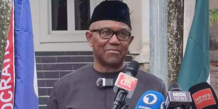 Nigeria Democratic Congress (NDC) presidential candidate, Peter Obi