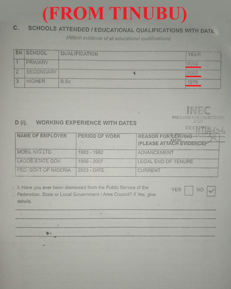 President Bola Ahmed Tinubu's INEC form