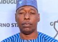 Governor Babagana Zulum of Borno State
