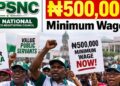 Joint National Public Service Negotiating Council (JNPSNC) demand N500,000 minimum wage