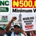 Joint National Public Service Negotiating Council (JNPSNC) demand N500,000 minimum wage