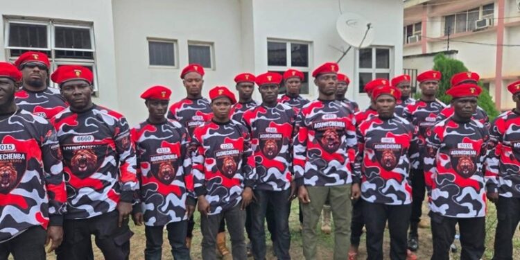 Agunechemba/Operation Udo Ga Achi operatives