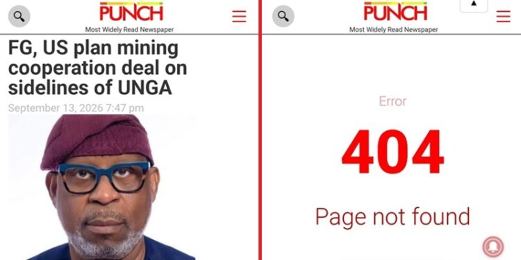 PUNCH report deleted