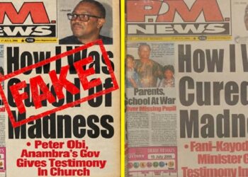 PM News versus Peter Obi